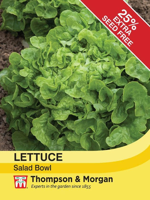 Thompson & Morgan (Uk) Ltd Gardening Lettuce Salad Bowl