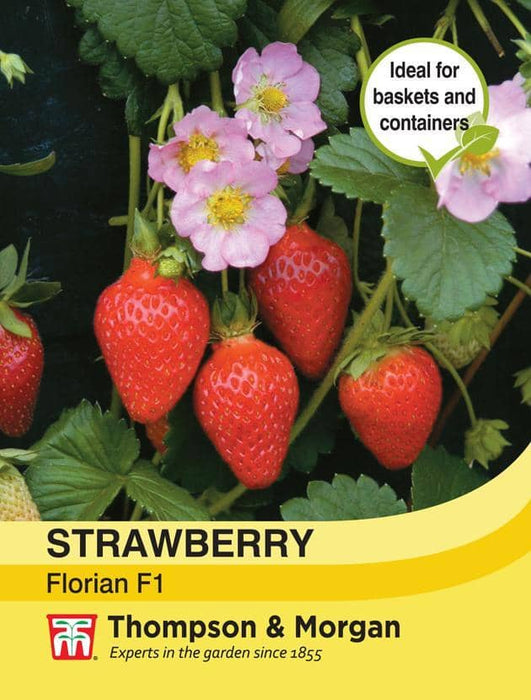 Thompson & Morgan (Uk) Ltd Gardening Strawberry Florian F1 Hybrid (Winter)