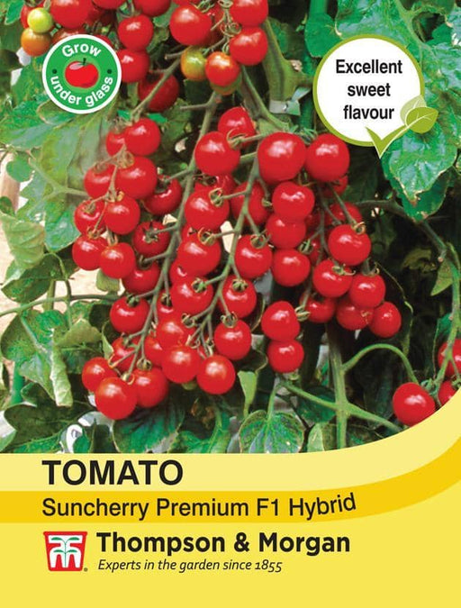 Thompson & Morgan (Uk) Ltd Gardening Tomato Suncherry Premium F1