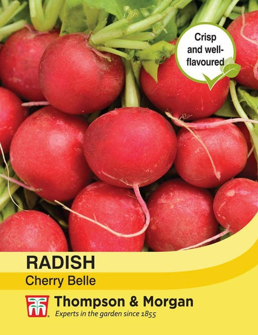 Thompson & Morgan (Uk) Ltd Gardening Radish Cherry Belle