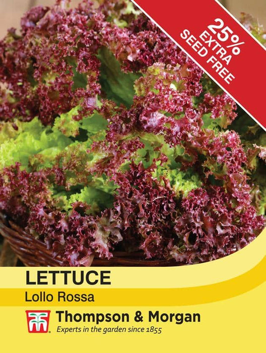 Thompson & Morgan (Uk) Ltd Gardening Lettuce Lollo Rossa