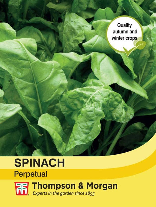 Thompson & Morgan (Uk) Ltd Gardening Spinach Perpetual