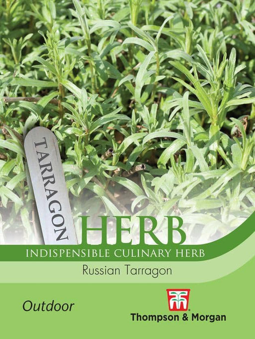 Thompson & Morgan (Uk) Ltd Gardening Herb Russia (Uk) Ltd.N Tarragon