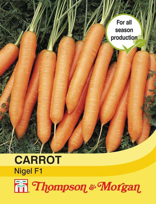 Thompson & Morgan (Uk) Ltd Gardening Carrot Nigel F1 Hybrid