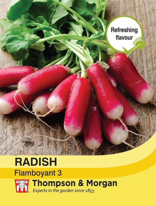 Thompson & Morgan (Uk) Ltd Gardening Radish Flamboyant 3