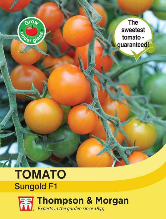 Thompson & Morgan (Uk) Ltd Gardening Tomato Sungold F1 Hybrid
