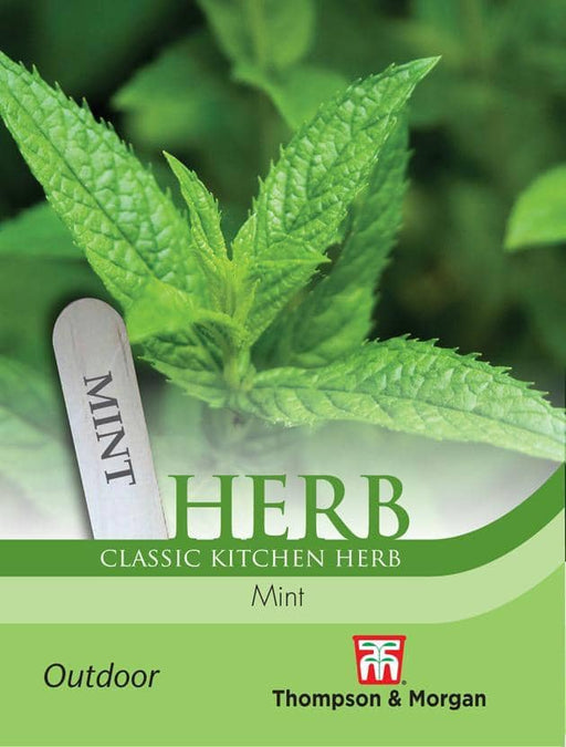 Thompson & Morgan (Uk) Ltd Gardening Herb Mint (Peppermint)