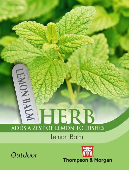 Thompson & Morgan (Uk) Ltd Gardening Herb Lemon Balm