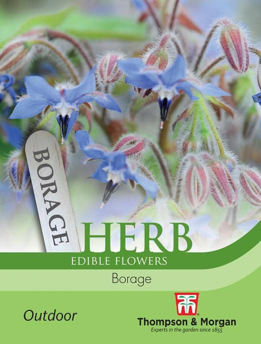 Thompson & Morgan (Uk) Ltd Gardening Herb Borage
