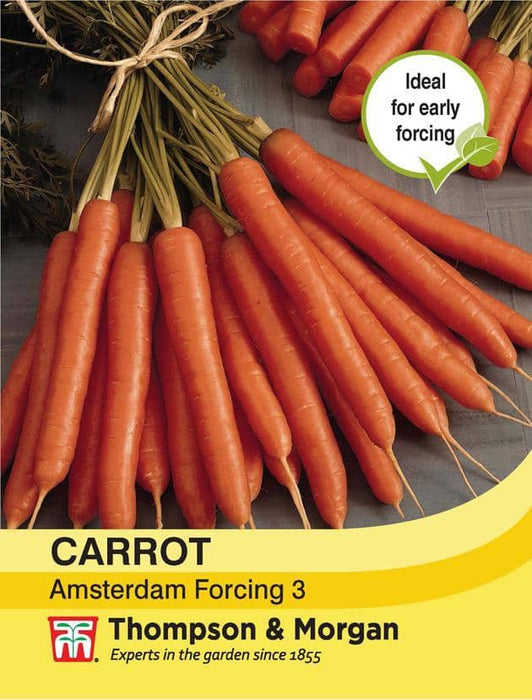 Thompson & Morgan (Uk) Ltd Gardening Carrot Amsterdam Forcing 3