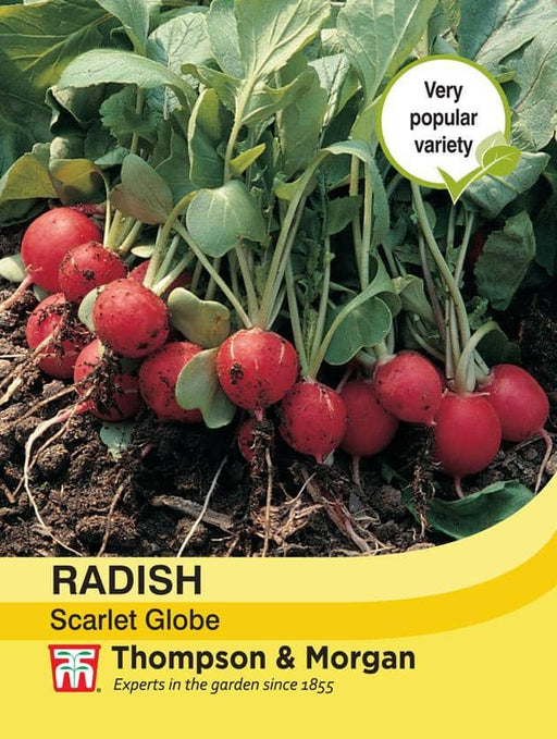 Thompson & Morgan (Uk) Ltd Gardening Radish Scarlet Globe
