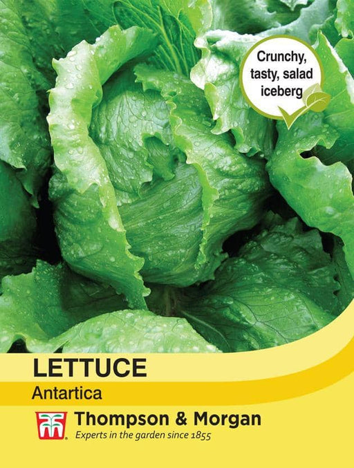 Thompson & Morgan (Uk) Ltd Gardening Lettuce Antartica