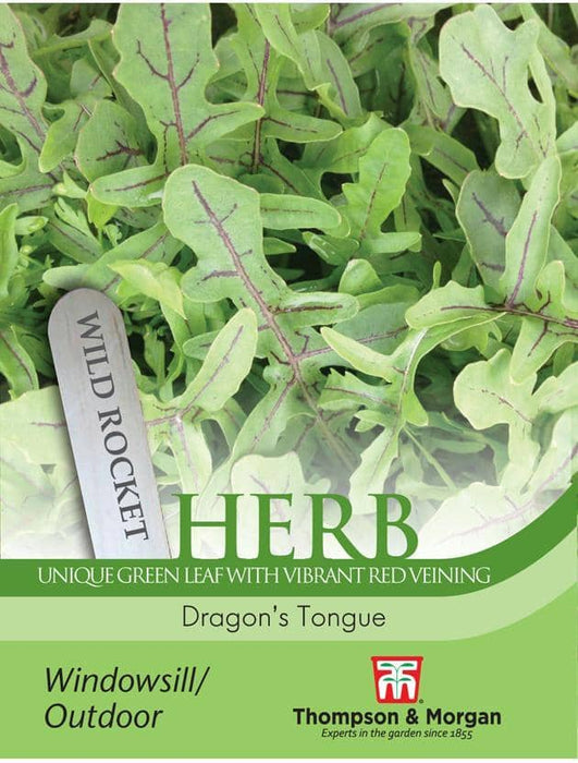 Thompson & Morgan (Uk) Ltd Gardening Herb Rocket Dragons Tongue