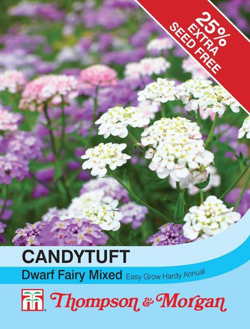 Thompson & Morgan (Uk) Ltd Gardening Candytuft Dwarf Fairy Mixed