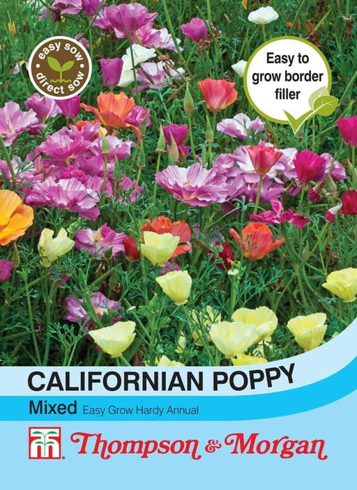 Thompson & Morgan (Uk) Ltd Gardening Californian Poppy Mixed