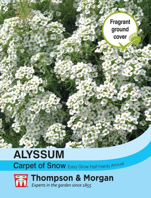 Thompson & Morgan (Uk) Ltd Gardening Alyssum Carpet Of Snow