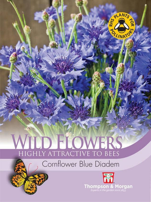 Thompson & Morgan (Uk) Ltd Gardening Wildflower Cornflower Blue Diadem