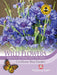 Thompson & Morgan (Uk) Ltd Gardening Wildflower Cornflower Blue Diadem
