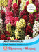 Thompson & Morgan (Uk) Ltd Gardening Antirrhinum Dwarf Bedding Mixed