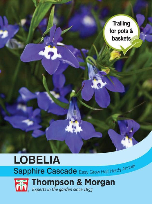 Thompson & Morgan (Uk) Ltd Gardening Lobelia (Trailing) Sapphire Cascade