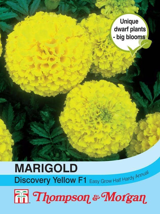 Thompson & Morgan (Uk) Ltd Gardening Marigold Discovery Yellow F1 Hybrid (African)