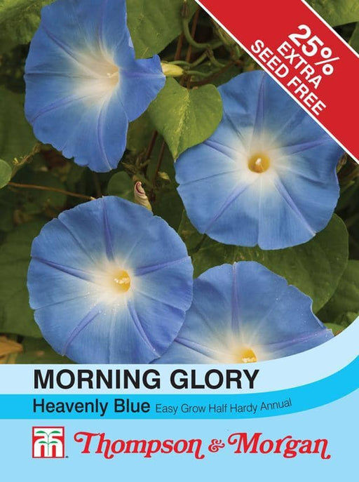 Thompson & Morgan (Uk) Ltd Gardening Morning Glory Climber Heavenly Blue
