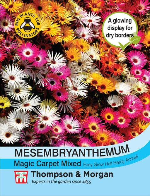 Thompson & Morgan (Uk) Ltd Gardening Mesembryanthemum Magic Carpet Mixed
