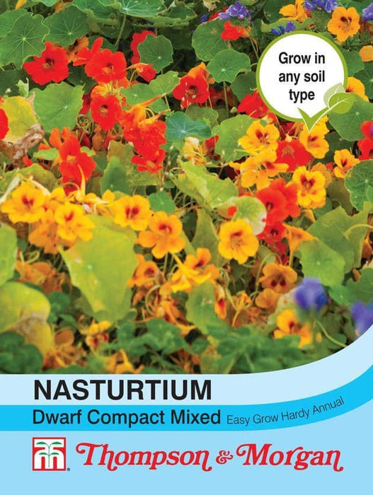 Thompson & Morgan (Uk) Ltd Gardening Nasturtium Dwarf Compact Mixed