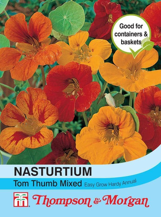 Thompson & Morgan (Uk) Ltd Gardening Nasturtium Tom Thumb Mixed