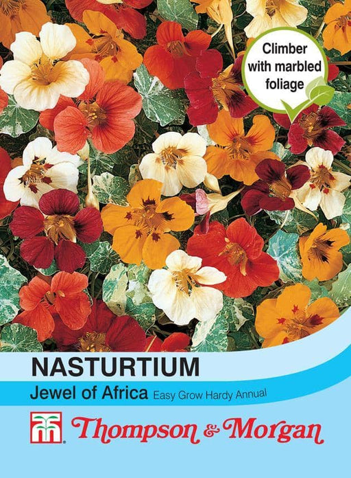Thompson & Morgan (Uk) Ltd Gardening Nasturtium Jewel of Africa