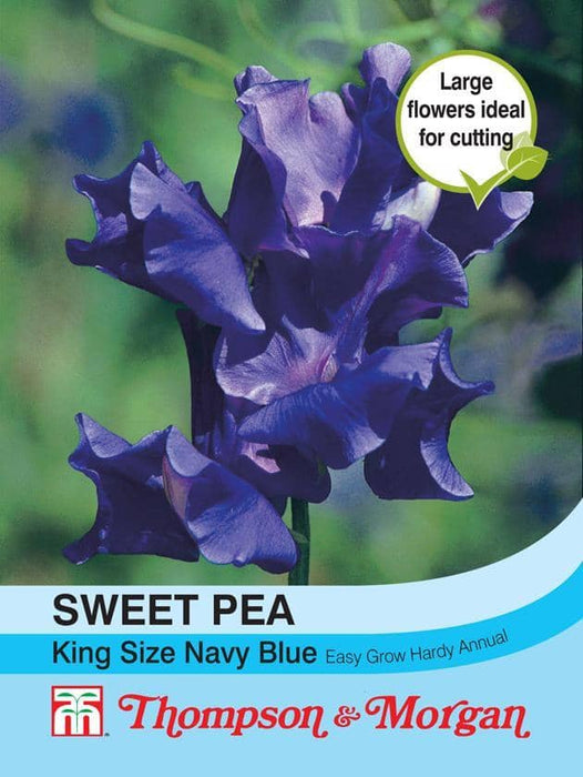 Thompson & Morgan (Uk) Ltd Gardening Sweet Pea King Size Navy Blue
