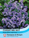 Thompson & Morgan (Uk) Ltd Gardening Forget-me-not Royal Blue Improved