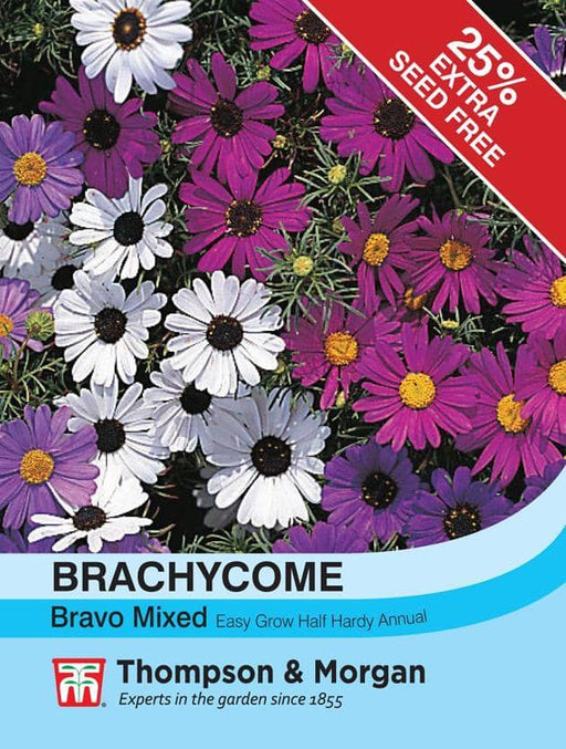 Thompson & Morgan (Uk) Ltd Gardening Brachycome Bravo