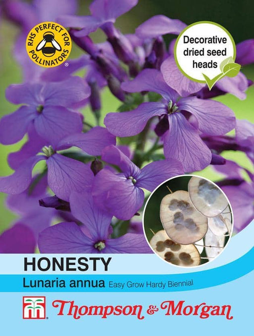 Thompson & Morgan (Uk) Ltd Gardening Honesty (Lunaria or Silver Dollar)