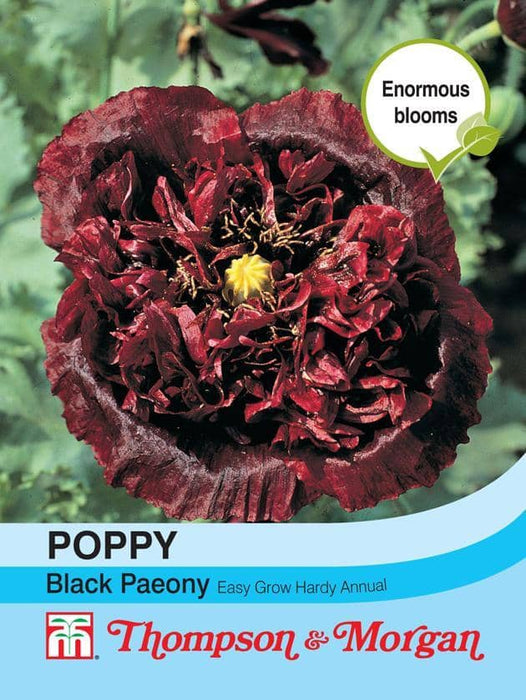 Thompson & Morgan (Uk) Ltd Gardening Poppy Black Paeony