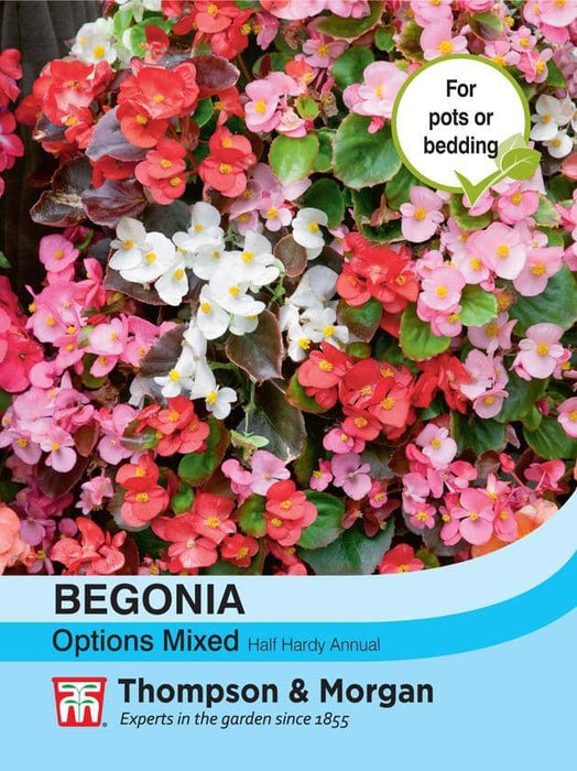 Thompson & Morgan (Uk) Ltd Gardening Begonia semperflorens Options Mixed
