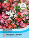 Thompson & Morgan (Uk) Ltd Gardening Begonia semperflorens Options Mixed
