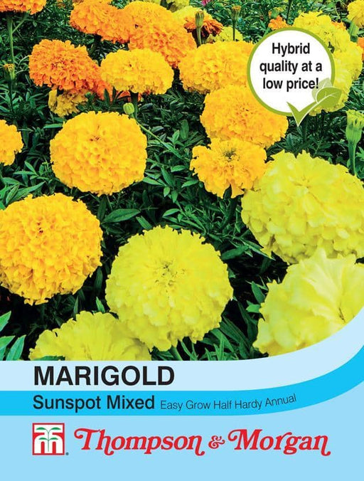 Thompson & Morgan (Uk) Ltd Gardening Marigold Sunspot Mixed