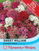 Thompson & Morgan (Uk) Ltd Gardening Sweet William Excelsior Mixed