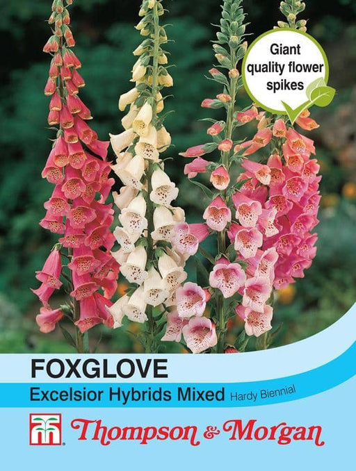 Thompson & Morgan (Uk) Ltd Gardening Foxglove Excelsior Hybrids Mixed