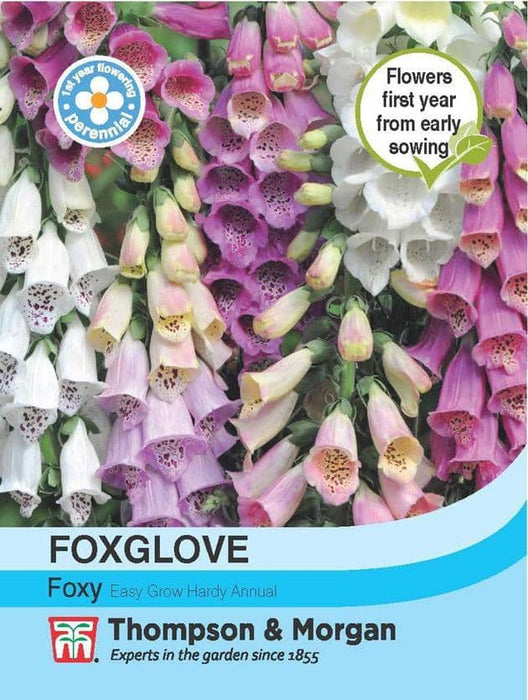 Thompson & Morgan (Uk) Ltd Gardening Foxglove Foxy