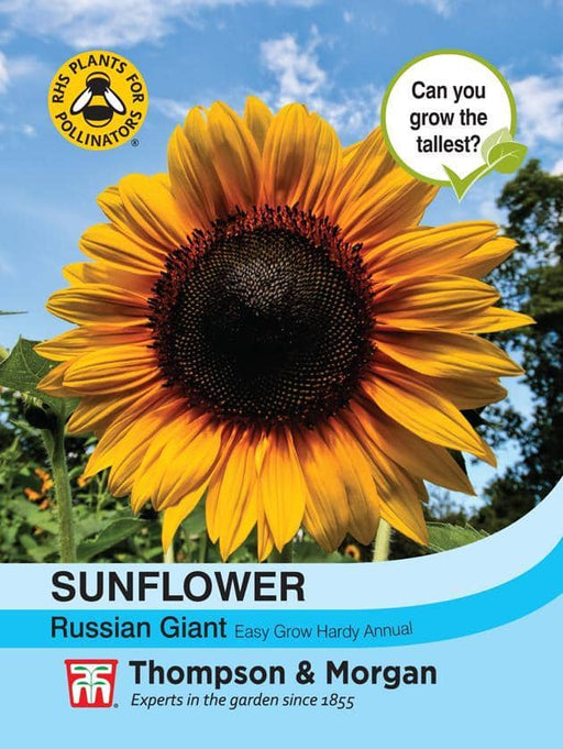 Thompson & Morgan (Uk) Ltd Gardening Sunflower Russia (Uk) Ltd.N Giant