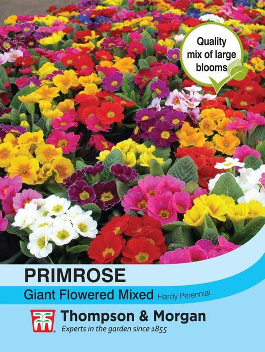 Thompson & Morgan (Uk) Ltd Gardening Primrose T&M Special Giant Flowered Mixed
