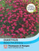 Thompson & Morgan (Uk) Ltd Gardening Dianthus Maiden Pink Brilliancy