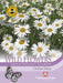 Thompson & Morgan (Uk) Ltd Gardening Wildflower Oxeye Daisy