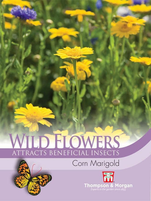 Thompson & Morgan (Uk) Ltd Gardening Wildflower Corn Marigold