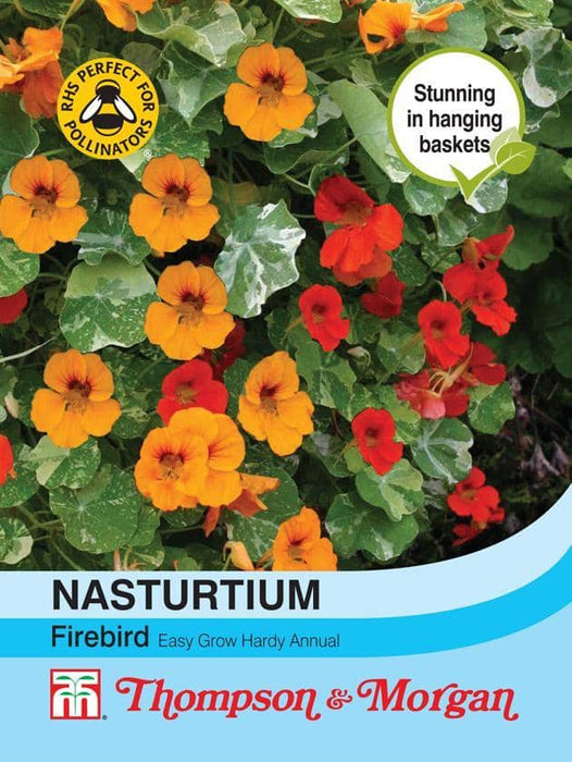 Thompson & Morgan (Uk) Ltd Gardening Nasturtium Firebird
