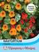 Thompson & Morgan (Uk) Ltd Gardening Nasturtium Firebird