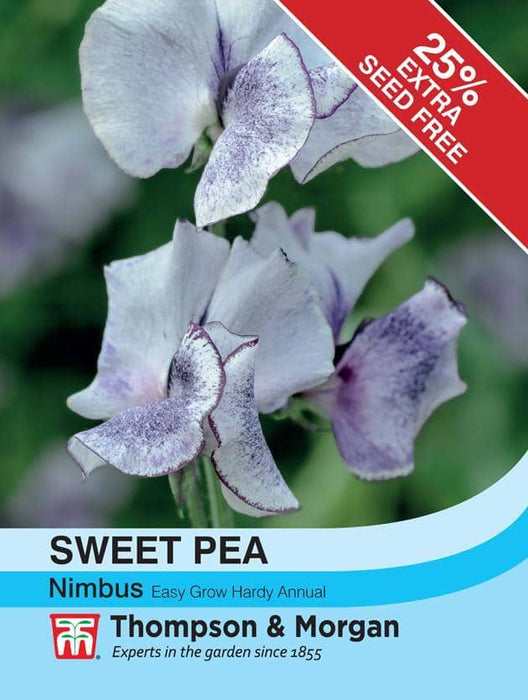 Thompson & Morgan (Uk) Ltd Gardening Sweet Pea Nimbus