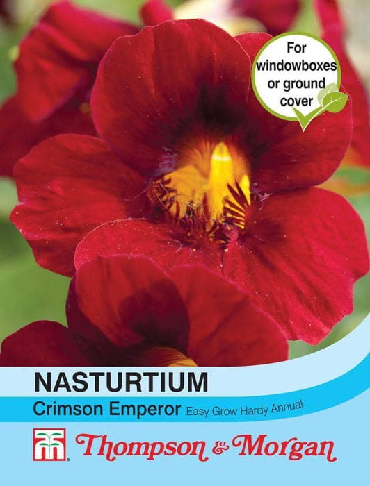 Thompson & Morgan (Uk) Ltd Gardening Nasturtium majus Crimson Emperor